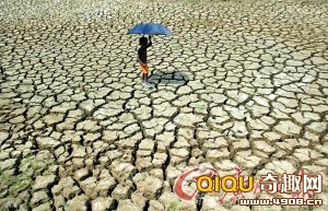 ӡ��44����´���¼ ������80��(ͼ)