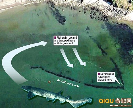 ����ʿ����դ