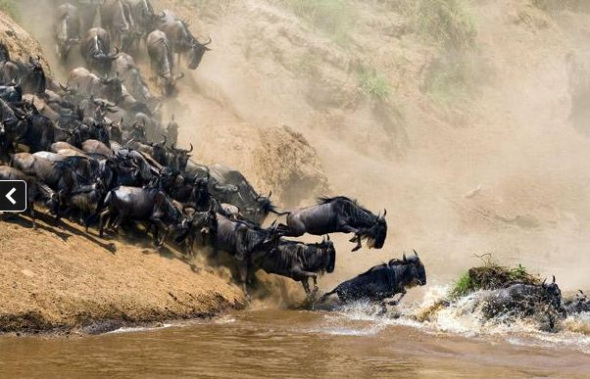 Ŭ����Խ������������