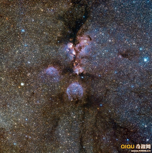 <a href=http://www.xinjiewang.com/why/02/ target=_blank class=infotextkey>�Ƽ�</a>ʱ��_��ѧ�ҹ���5500����è����������Ƭ(ͼ)