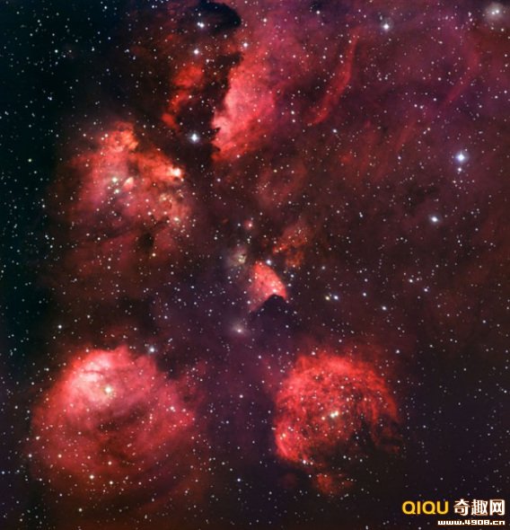 <a href=http://www.xinjiewang.com/why/02/ target=_blank class=infotextkey>�Ƽ�</a>ʱ��_��ѧ�ҹ���5500����è����������Ƭ(ͼ)