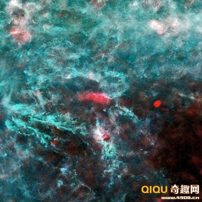 �������ʿ����ǲ�׽����Ӣ���������γ���������ɫͼ����<a href=http://www.xinjiewang.com/duanxin/12/ target=_blank class=infotextkey>�ۺ�</a>���ʿ�����Ƶ�ʶε������Ƶõġ�