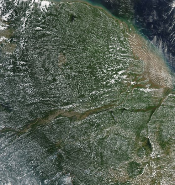 �������׻���(Popcorn Clouds)