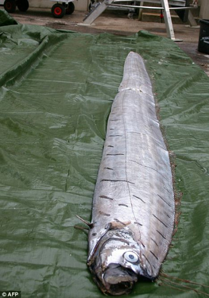 ����3.4�׵�&ldquo;��������&rdquo;���嵽����������� 