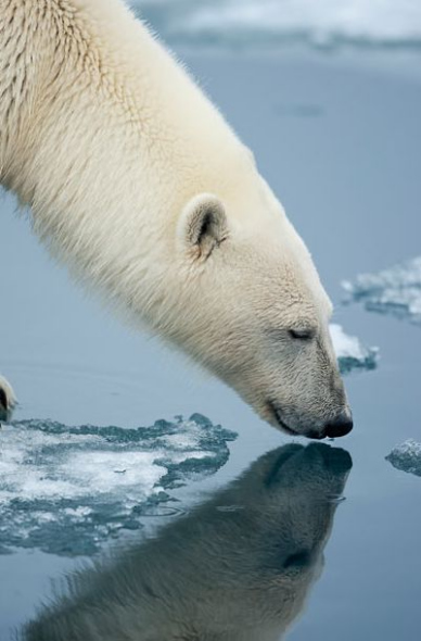 �����ܰѱ�������ˮ��