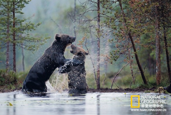 ������ ���Ī