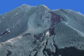 ������Ⱥ���������������ɽ