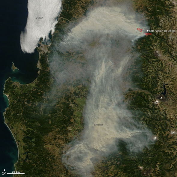 ���ǲ�׽����ɭ�ִ���� 