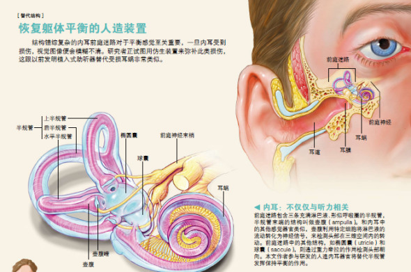 �ָ�����ƽ�������װ��