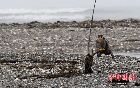 ������û�꾮ԭ��й¶����ʧ��(��ͼ)