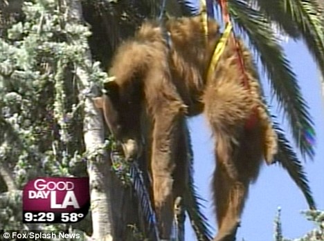 �������������£������������״̬��������Ա�漴�ð�ȫ��������ã������������Ͼ��¡�