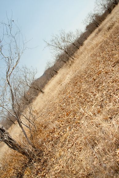 ��ʨ&ldquo;�ĵ�&rdquo;�ķ��޹�ľ��