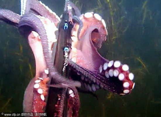 �����ס�����豸��