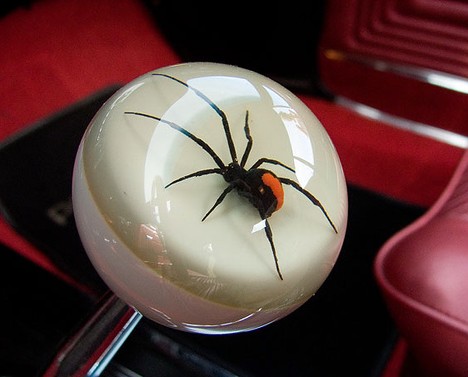 ��ɫ֩�벻�Ǻܳ���